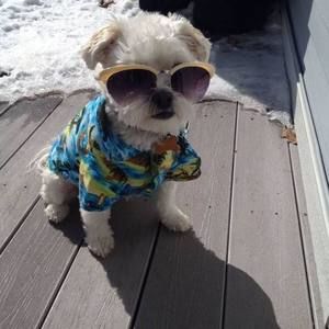 Meet your Posher, Ann